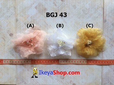 BGJ 43  large2